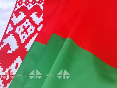 Поздравление с Днем внутренних войск МВД Республики Беларусь | MogilevNews  | Новости Могилева и Могилевской области