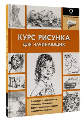 Рисование карандашом для начинающих: с чего начать, азы техники, уроки