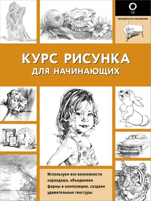 Книга Курс рисунка для начинающих - купить самоучителя в  интернет-магазинах, цены на Мегамаркет | 978-5-17-155312-8