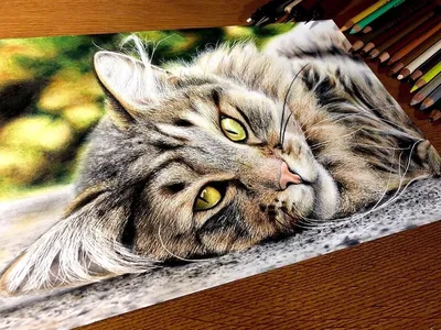Рисунки для срисовки милых животных (28 фото) 🔥 Прикольные картинки и юмор