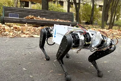 Запрограммированный друг: новосибирские студенты оживили собаку-робота с  помощью нейросети - KP.RU