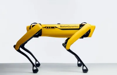 Робопса Boston Dynamics продают за $74,5 тыс. | РБК Стиль