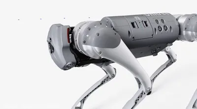 Go2: новый китайский робот-акробат