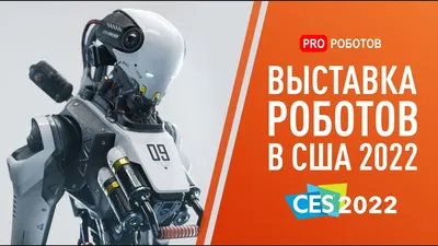 Тинькофф» создал человекоподобных роботов для борьбы с телефонными  мошенниками - oboz.info