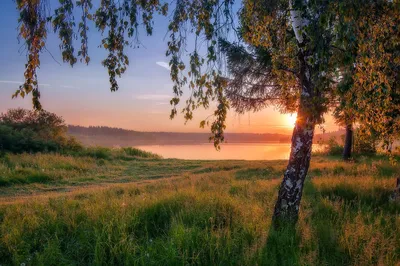 Картинки родина фотографии