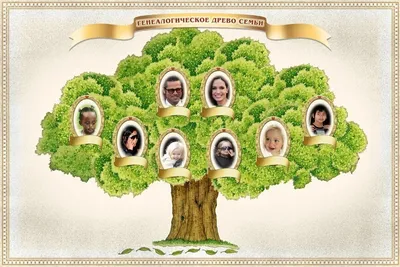 Грамота \"Моя родословная\"/Семейное дерево/Древо семьи ТМ Открытая планета  30358917 купить в интернет-магазине Wildberries
