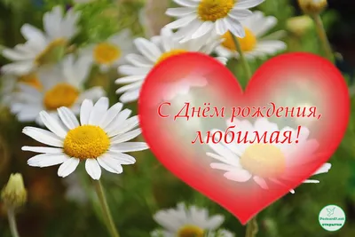 Ромашки для любимой - Доставкой цветов в Москве! 47343 товаров! Цены от 487  руб. Цветы Тут