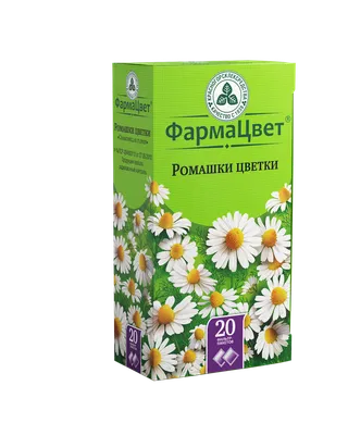 Ромашки в небольшом букете купить с доставкой по Томску: цена, фото, отзывы.