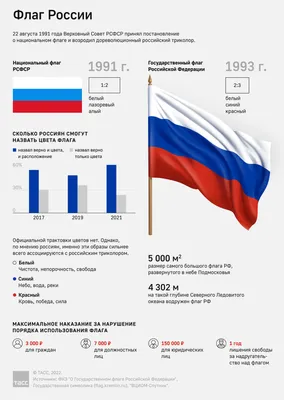 Только половина россиян верно описала внешний вид флага страны — РБК