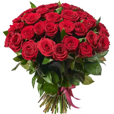 7 бр червени рози - доставка на цветя София - букети софия - поръчка на  цветя София - Цветя онлайн София