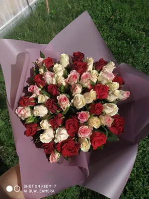 Букет от бели рози Бяла Еуфория | Жасмин Варна Магазин за цветя