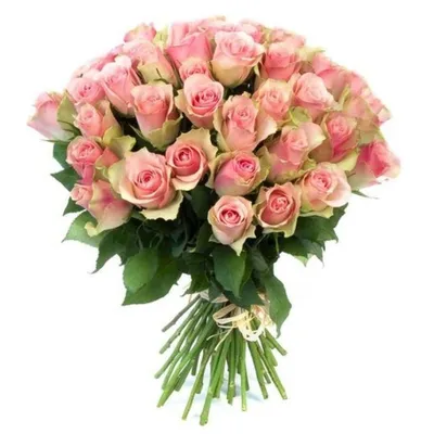 Букет от 15 до 25 розови биколорни рози (ти избираш броя) - от категория  РОЗИ (SamoRozi.com)