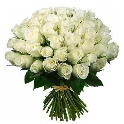 Букети из 21 рози №633945 - купить в Украине на Crafta.ua