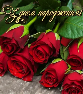 Pin by Valentina on З днем народження! | Beautiful flower arrangements,  Flower bouqet, Beautiful roses