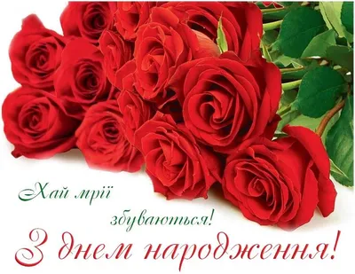 Pin by Людмила Кучерук on День народження | Beautiful flowers, Anniversary  flowers, Rose flower pictures