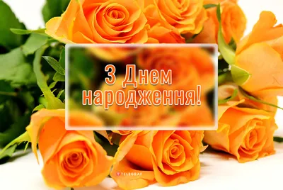 Pin by Оксана Хвостяк on З днем Народження | Birthday wishes flowers,  Frozen birthday theme, Happy birthday wishes cards