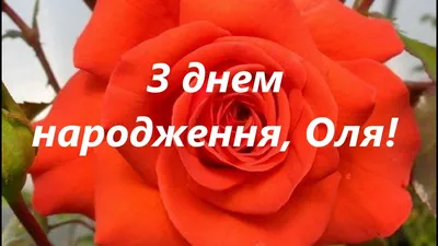 Розы в коробке \"С днем рождения\" за 9 990 руб. | Бесплатная доставка цветов  по Москве