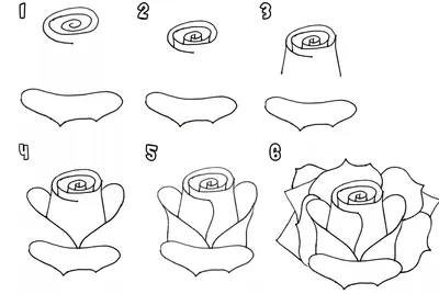 Простые рисунки роза для начинающих (47 фото) » рисунки для срисовки на  Газ-квас.ком