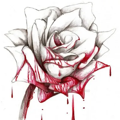 Картинки для срисовки розы - 83 фото