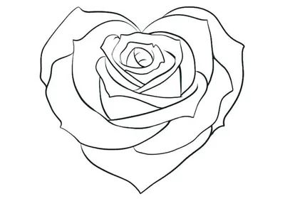 Рисунок розы для срисовки - 69 фото