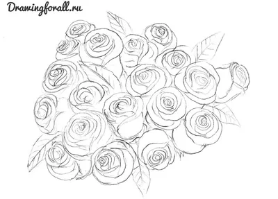 Рисунок розы маленький для срисовки - 45 фото