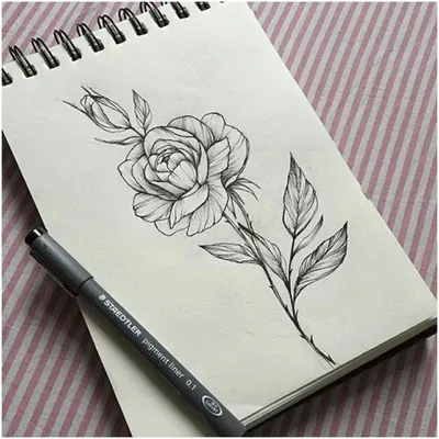 Картинка роза в треугольнике ❤ для срисовки