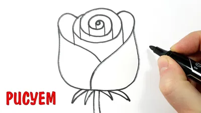 Рисуем розу пером и тушью. Простые рисунки для срисовки (видео) | Кичигин  Эдуард, рисование, АСМР | Дзен