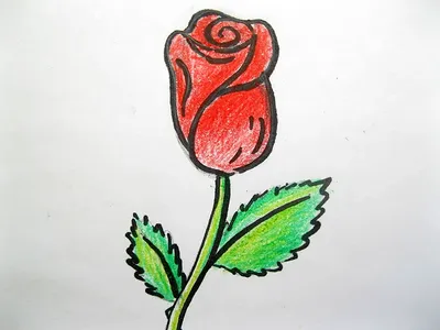 Картинка красная роза с двумя листиками ❤ для срисовки