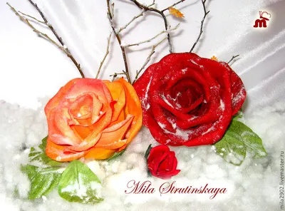 Розы на снегу картинки - 74 фото