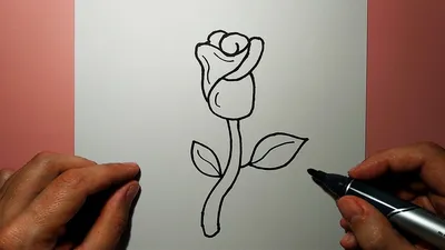 How to draw a ROSE easily and simply - YouTube