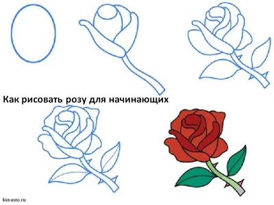 Рисовать розы на торте | Roses drawing, Sketches tutorial, Drawings