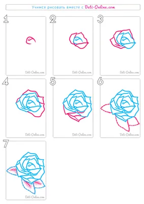 Как нарисовать розу своими руками