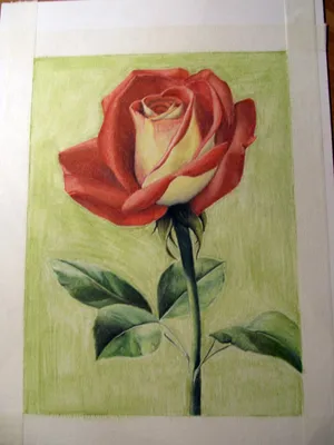 Иллюстрация Как я пробовал розы рисовать. Часть 2 в стиле другое |