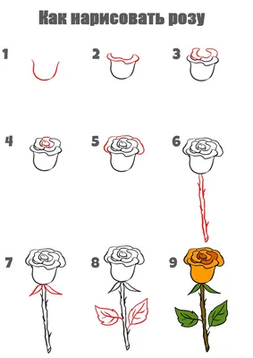 Несколько способов нарисовать розу в цифре
