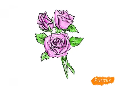 Как нарисовать розу шаг за шагом — Пошаговые уроки рисования