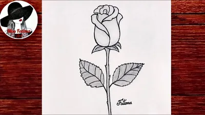 Как Нарисовать РОЗУ Очень Легко | Рисунок Розы Карандашом | Простой Рисунок  - YouTube