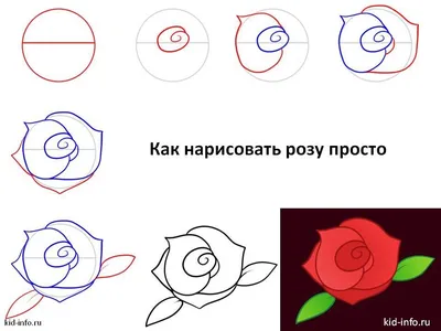 Как нарисовать розу просто | Рисунки роз, Розы, Рисовать