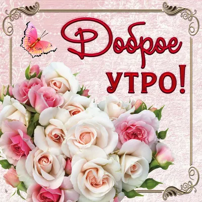 ДОБРОЕ УТРО! ЭТИ РОЗЫ ДЛЯ ТЕБЯ!🌹🌹🌹#доброеутро #ДОБРОЕ #Доброе | TikTok