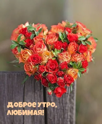 Доброе Утро любимым! 🌹 | Красивые розы, Праздничные открытки, Доброе утро