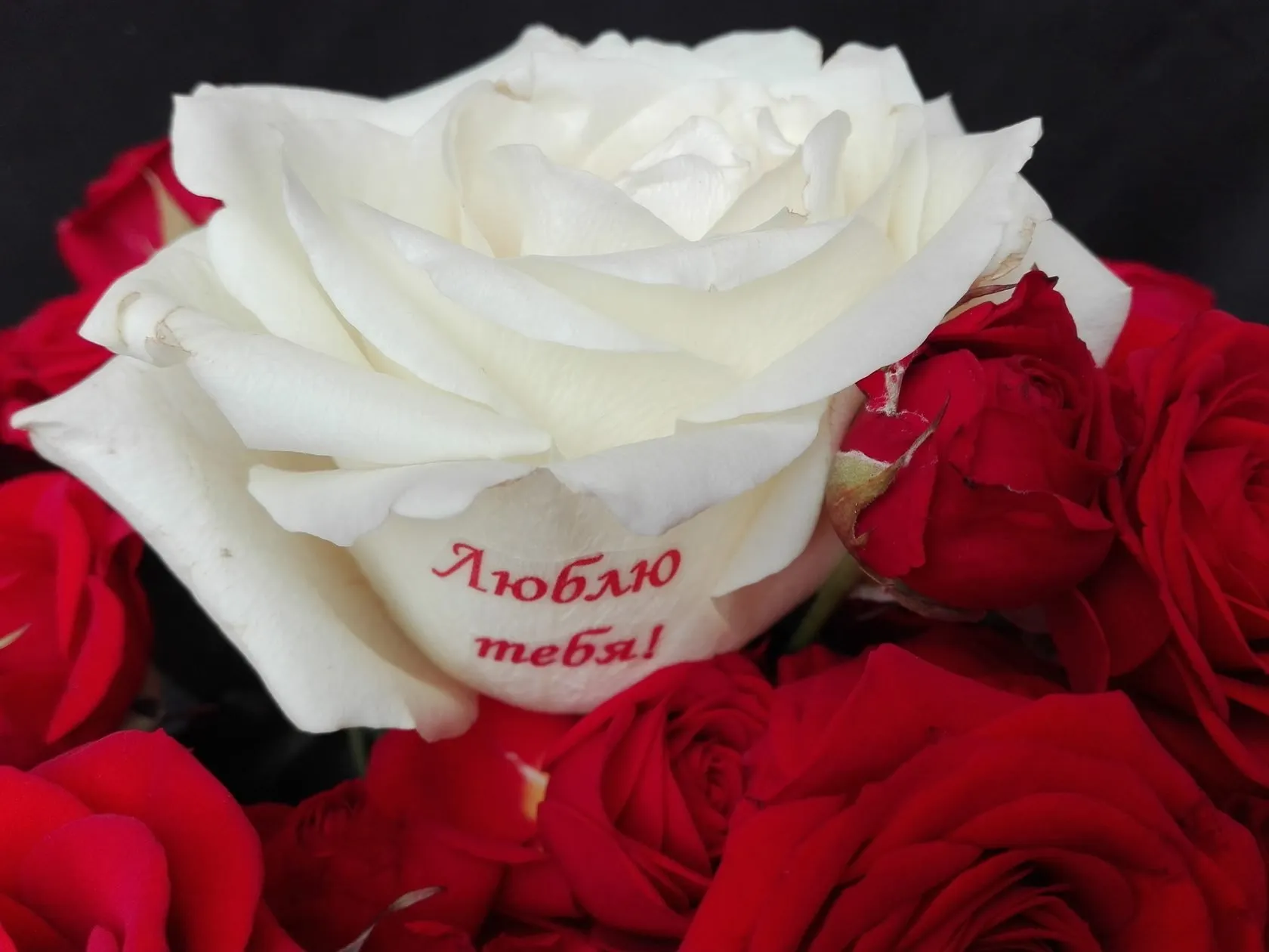 Красивые розы для красивой женщины картинки. Букет для любимой женщины. Красивый букет роз для девушки. Букет роз "любимой". Розы с надписями на лепестках.