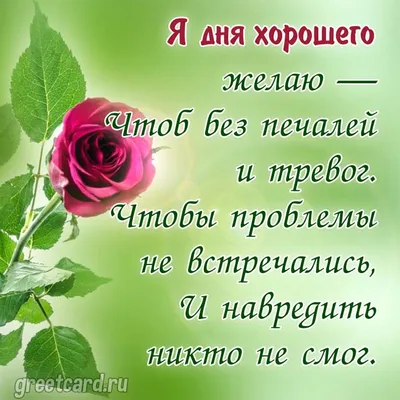 Букет красных роз + Авторские стихи заказать в интернет-магазине Роз-Маркет  в Краснодаре по цене 3 260 руб.