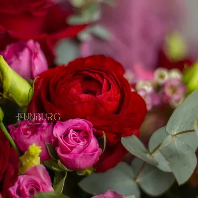 Роза – символ совершенства... Стихи, музыка и картинки о розе, розах.  Обсуждение на LiveInternet - Российский Сервис Онлайн-Дневников