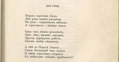 Одна роза | Стихи о любви, жизни и природе | Дзен