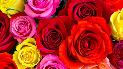 Купить букет в шляпной коробке «Стихи о любви» из ранункулюсов, роз,  пионовидных кустовых роз, орхидей, эустомы с доставкой по Екатеринбургу -  интернет-магазин «Funburg.ru»