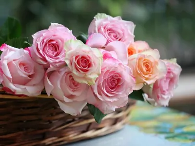 Раскрашивают розовые розы, написанный на стихи и Sculp везде Стоковое Фото  - изображение насчитывающей график, тщедушно: 168451182