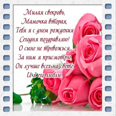 Розы скачать бесплатно, розы фото, картинки - белые розы фото