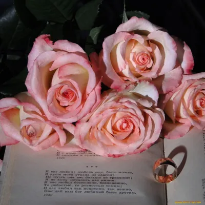 🌹Королева цветов — роза. 🌹Невероятно красивый цветок, о котором написано  тысячи стихов, сотни книг, легенд и рассказов. И это не уд… | Silk flowers,  Rose, Flowers