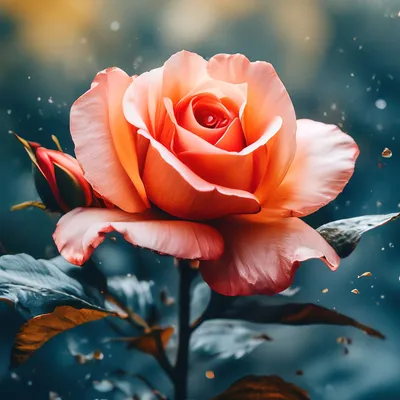 Открытка с Днем рождения Жанне - розовая роза и пожелание в стихах