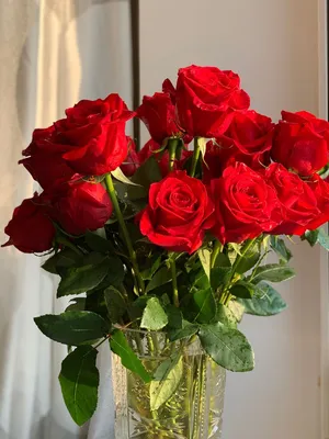 Картинки розы в вазе фото