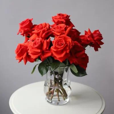 Букет из 15 Красных роз в стеклянной вазе, Цветы и подарки в Ижевске,  купить по цене 4750 RUB, Монобукеты в Бутоника с доставкой | Flowwow